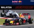 Макс Ферстаппен, второе место в Гран-при Малайзии 2016 с его Red Bull, пятый подиум своей карьеры в F1